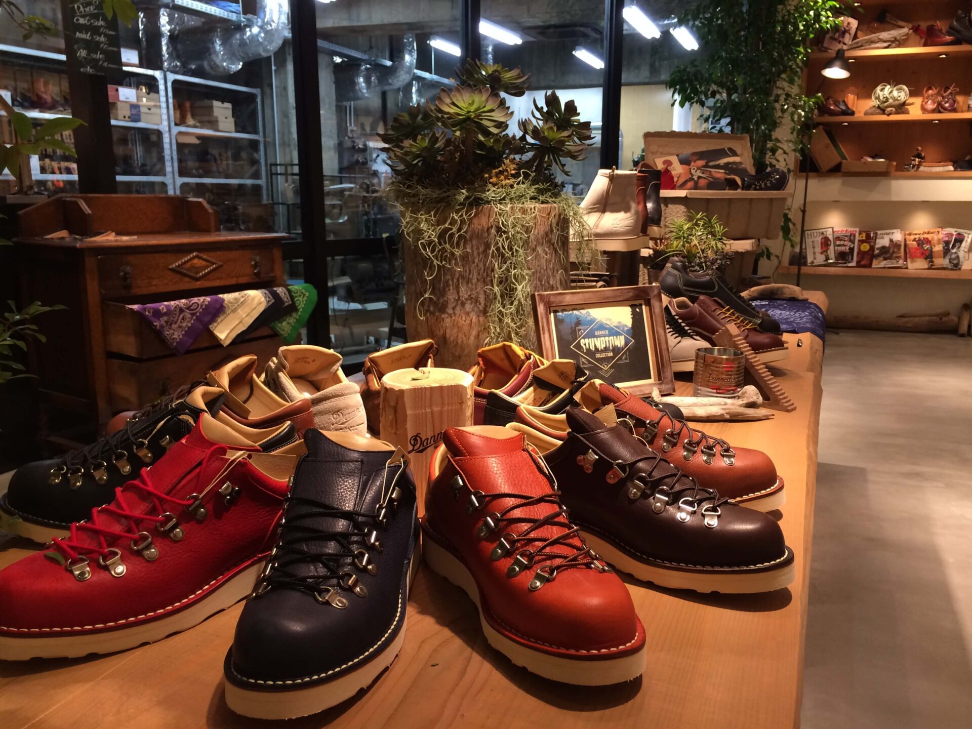 STUMPTOWN