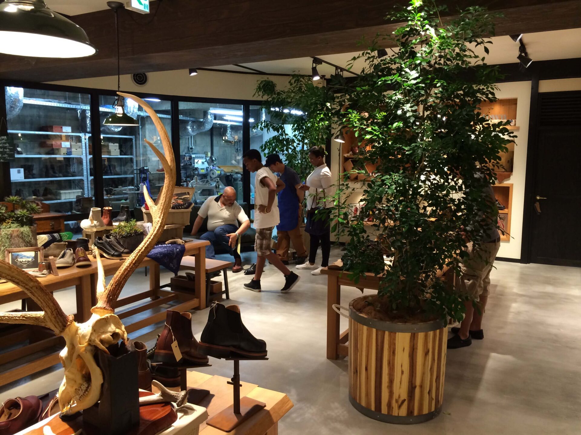 STUMPTOWN